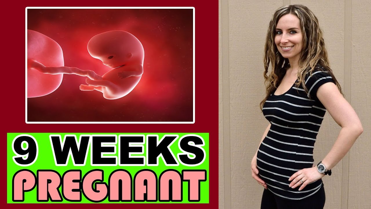 بارداری در هفته‌ی 9 دوران بارداری